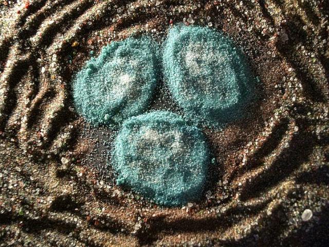 Opere de artă CONDIMENTATE. Desenează picturi clasice folosind săruri, condimente şi coloranţi 195180