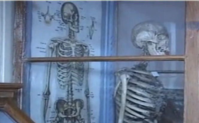 Legenda paznicului mumificat la Aiud, în cel mai vechi muzeu de ştiinţe naturale din România