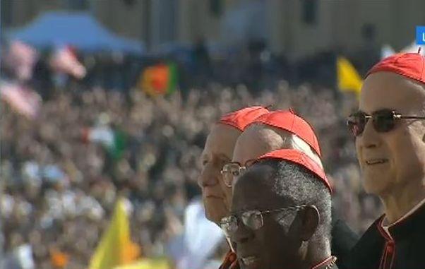 Mii de oameni, în Piaţa Sfântul Petru pentru ultima audienţă a Papei. Sfântul Părinte evocă "apele agitate" din perioada Pontificatului său 195546