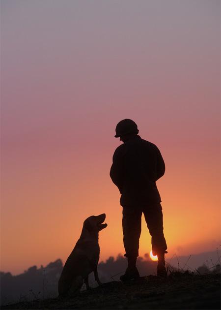 Siluete surprinse de obiectivul aparatului în razele apusului de soare 195507