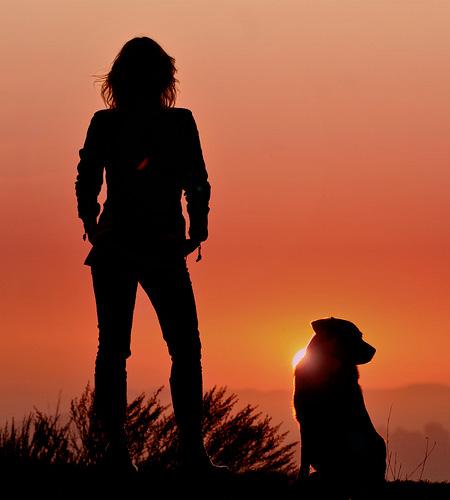 Siluete surprinse de obiectivul aparatului în razele apusului de soare 195513