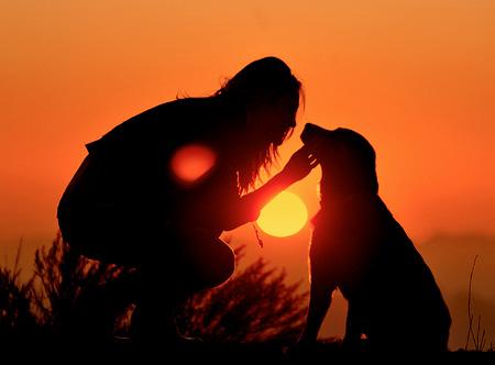 Siluete surprinse de obiectivul aparatului în razele apusului de soare 195518