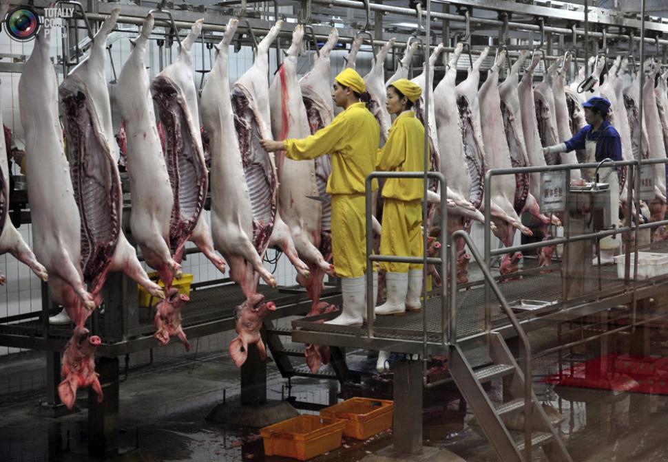 Locul de pe Terra în care se produce orice, pentru oricine. A fost supranumit "Fabrica Lumii" 195738