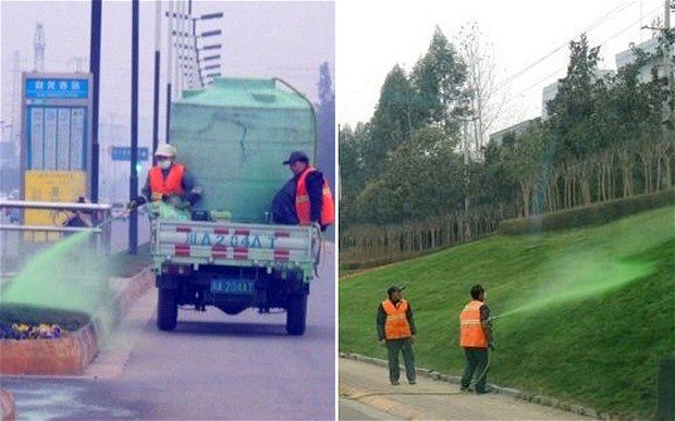 Chinezii îşi înveselesc oraşele într-un mod inedit! Vopsesc iarba cu spray verde
