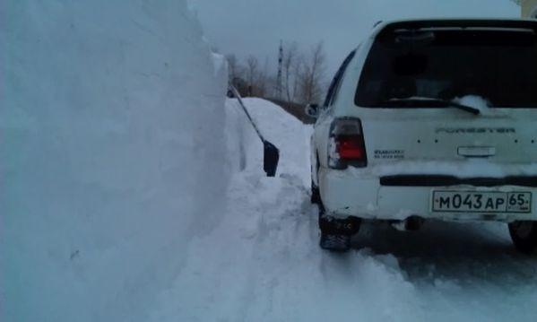Seara când au mers la culcare, pământul era uscat. Dimineaţa, zăpada ajungea până la brâu. A venit primăvara în Rusia 196523
