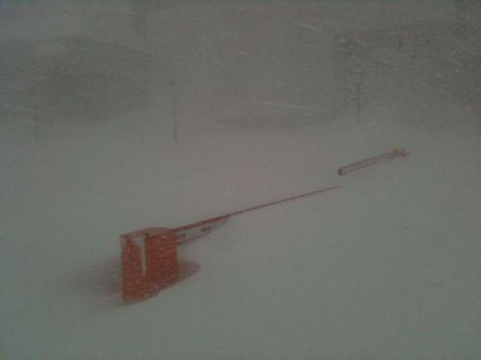 Seara când au mers la culcare, pământul era uscat. Dimineaţa, zăpada ajungea până la brâu. A venit primăvara în Rusia 196529
