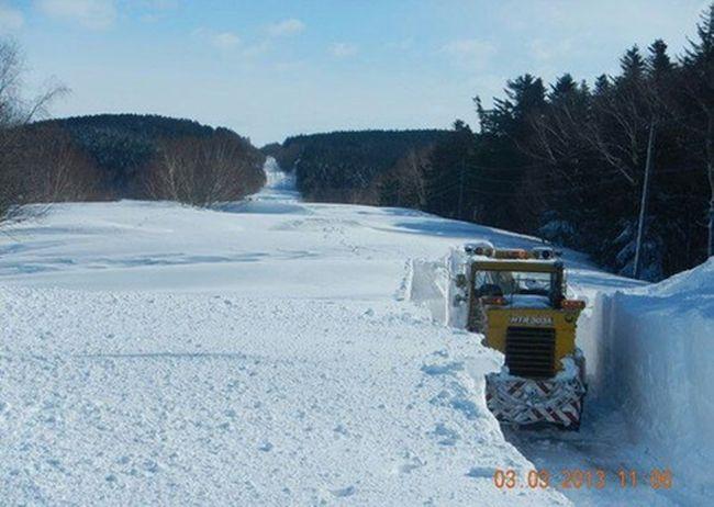 Seara când au mers la culcare, pământul era uscat. Dimineaţa, zăpada ajungea până la brâu. A venit primăvara în Rusia 196531