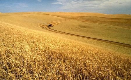 Ponta dă asigurări: Începem plata subvenţiilor pentru agricultură