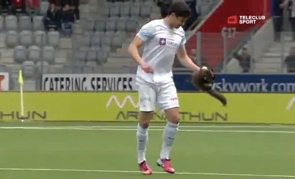 Scene amuzante la un meci din campionatul Elveţiei: Un JDER a intrat pe teren şi A MUŞCAT un jucător