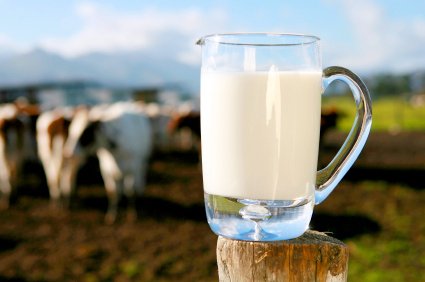 Lapte TOXIC la trei ferme şi două fabrici de lapte din România. ANSVSA: Limita admisă pentru aflatoxină, depăşită 
