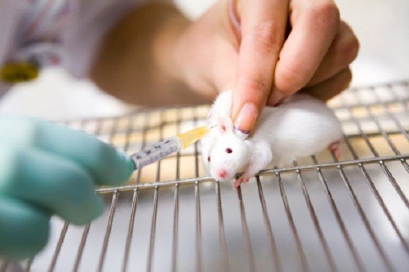 Un pas major către oprirea cosmeticelor testate pe animale. Vezi ce decizie a luat Comisia Europeană