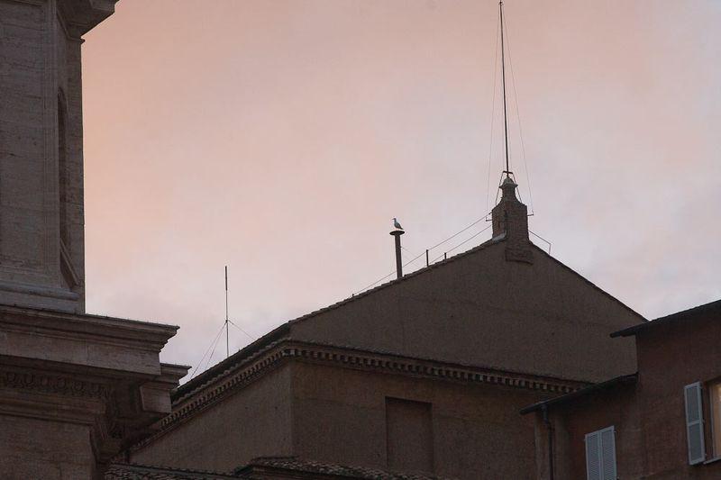 FOTOREPORTAJ din mijlocul Vaticanului. Ce se întâmplă aceste momente în spatele uşilor închise  197671