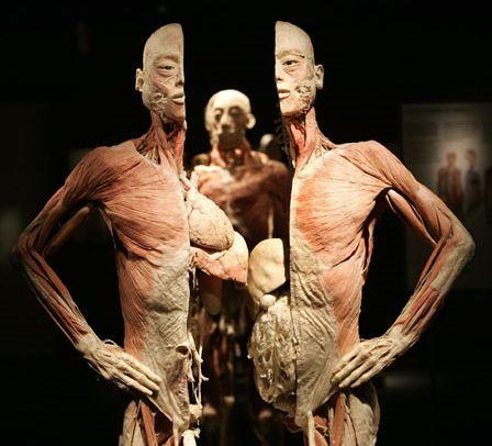Spectacol macabru sau metodă educativă? Controverse în jurul expoziţiei "The Human Body" de la Muzeul Antipa 197983