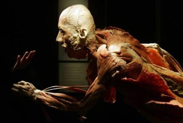 Spectacol macabru sau metodă educativă? Controverse în jurul expoziţiei "The Human Body" de la Muzeul Antipa 197984