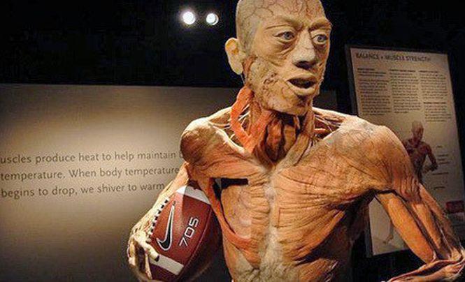 Spectacol macabru sau metodă educativă? Controverse în jurul expoziţiei "The Human Body" de la Muzeul Antipa 197987