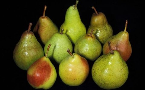Scandalul fructelor infestate cu pesticide se lasă cu plângeri penale. ANSVSA, din nou în vizor