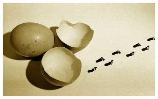 Să zâmbim puţin! Arta din mâncare, un spectacol inedit 198360