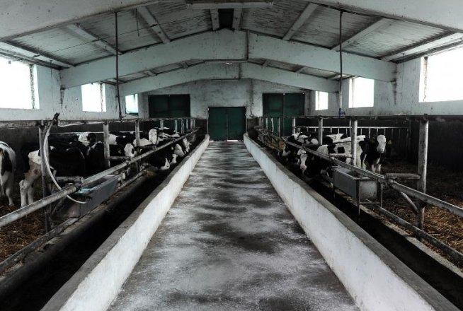 ANSVSA: 32 de dozatoare de lapte, puse sub sechestru. Laptele ar fi contaminat cu aflatoxină