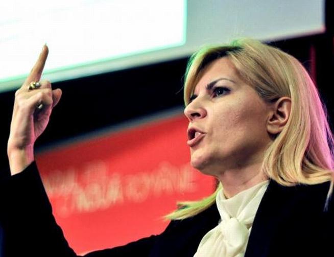 Elena Udrea: PNL încearcă acum desfiinţarea PDL, la fel cum a încercat PSD în 2003