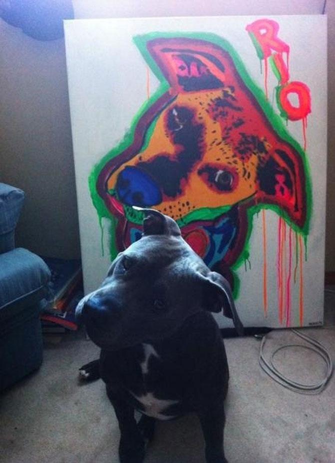 Animale simpatice faţă în faţă cu dublurile lor. Vezi o galerie foto de excepţie 198831