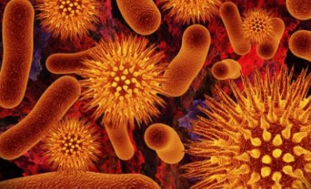 Bacteriile rezistente la antibiotice omoară mai mulţi oameni decât terorismul