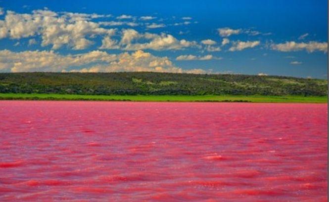 Minunea naturală din Australia. Oamenii de ştiinţă nu au găsit încă explicaţia pentru acest fenomen 198910