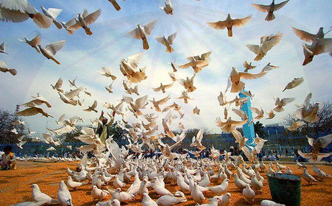 „Don`t worry, be happy!” Astăzi este ziua internaţională a fericirii 199166