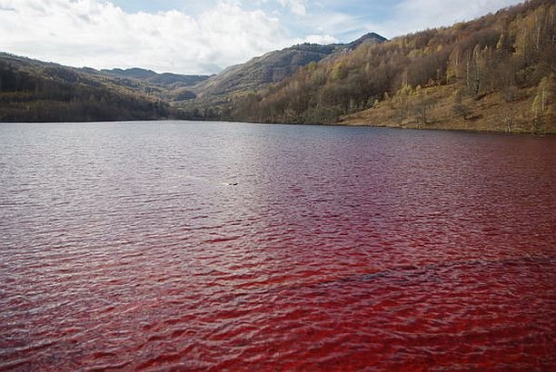 Imaginea şocantă surprinsă în ROMÂNIA. &quot;Lacul de sânge&quot; arată dezastrul la care suntem martori