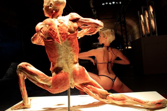 Cea mai controversată expoziţie din lume, The Human Body, se deschide vineri la Muzeul Antipa