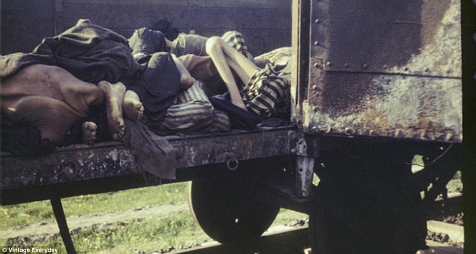 Aceasta este "culoarea" ÎNTUNERICULUI. Imagini pe care istoria acestei ţări ar vrea să le ascundă lumii 200251