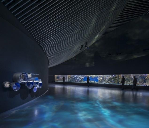 Merită văzut! Cel mai mare acvariu din Europa de Nord, o splendoare 200429