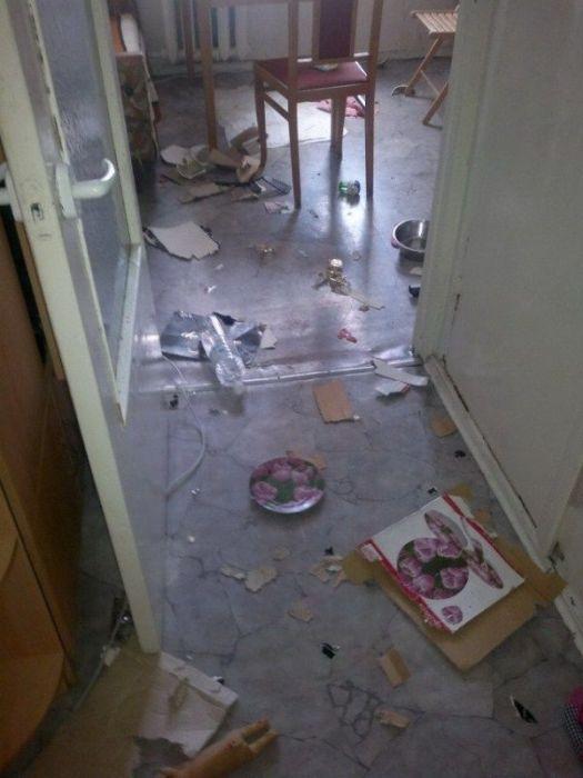 Sunt atât de simpatici în poza asta, dar stai să vezi ce au făcut în casă. Stăpânul şi-a pus mâinile în cap 201428