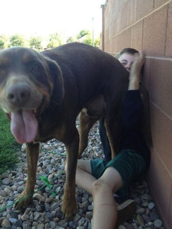 Ai zâmbit astăzi? Doar un CLICK pentru o porţie de râs 202051