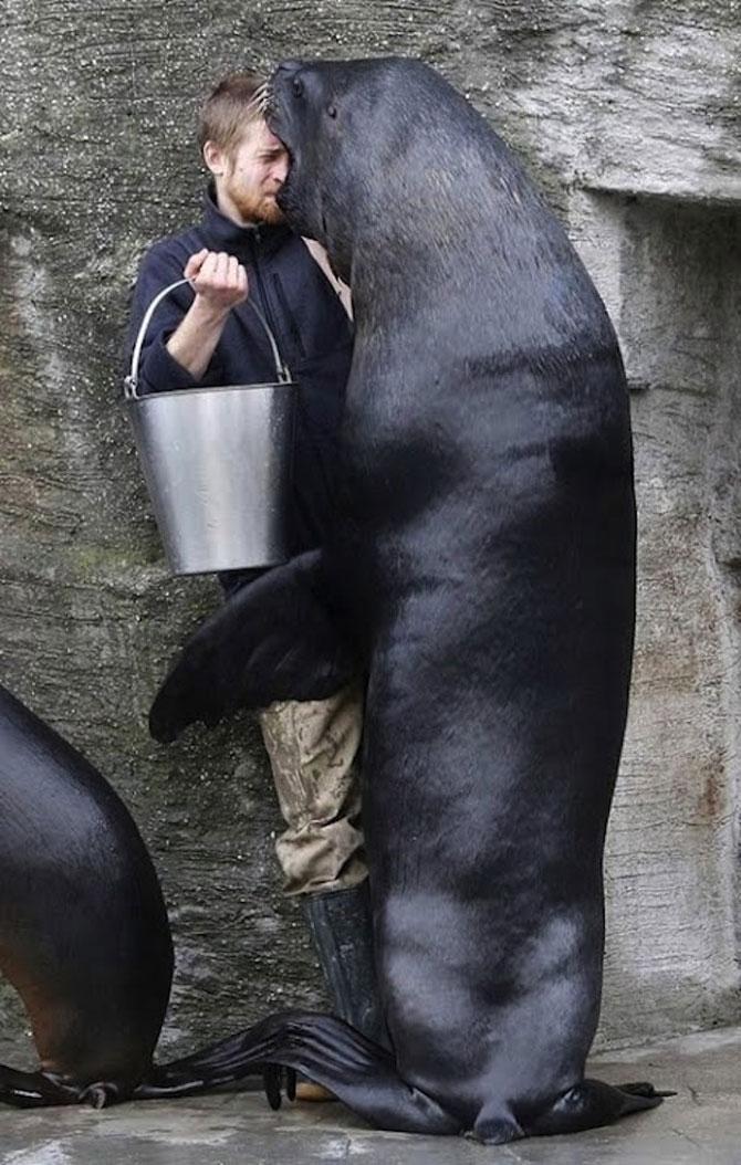 Ai zâmbit astăzi? Doar un CLICK pentru o porţie de râs 202053