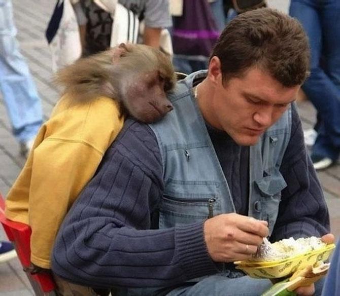 Ai zâmbit astăzi? Doar un CLICK pentru o porţie de râs 202054