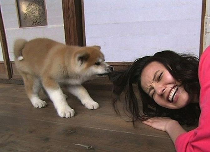 Ai zâmbit astăzi? Doar un CLICK pentru o porţie de râs 202055