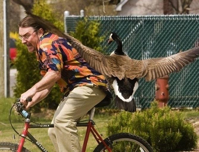 Ai zâmbit astăzi? Doar un CLICK pentru o porţie de râs 202057