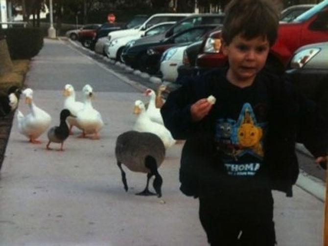 Ai zâmbit astăzi? Doar un CLICK pentru o porţie de râs 202058