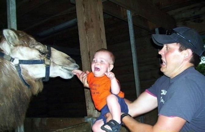 Ai zâmbit astăzi? Doar un CLICK pentru o porţie de râs 202059