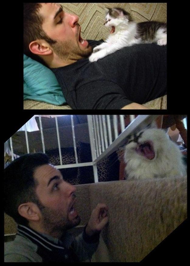 Ai zâmbit astăzi? Doar un CLICK pentru o porţie de râs 202060