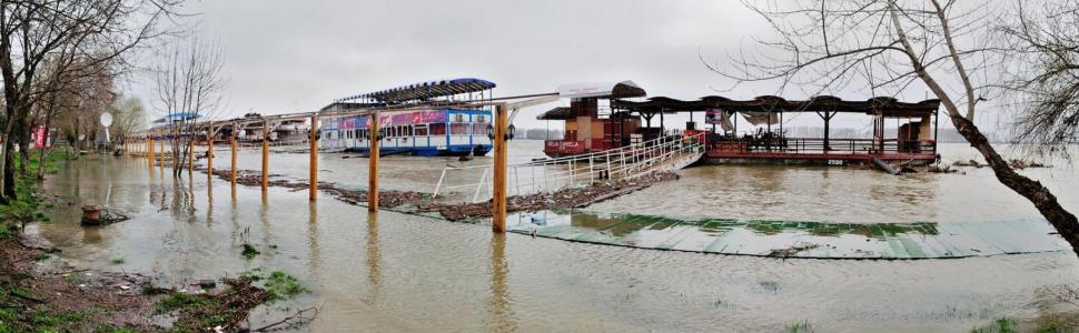 Cod portocaliu pe Dunăre, între Porţile de Fier şi Zimnicea, de sâmbătă dimineaţă 202211