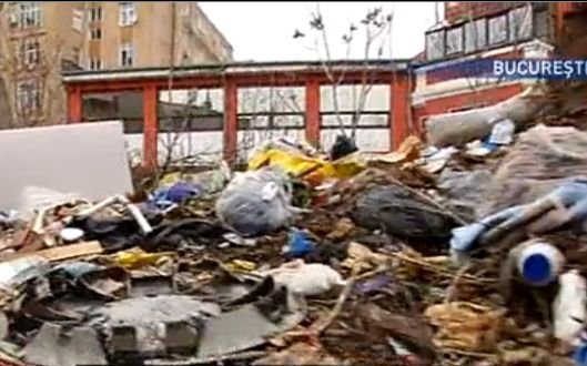 Groapă de gunoi în vecinătatea Maternităţii Cantacuzino din Bucureşti. Ce spun autorităţile despre acest focar de infecţie