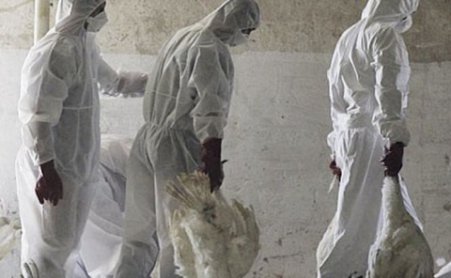 Stare de alertă în China: Gripa aviară a ucis deja şase oameni