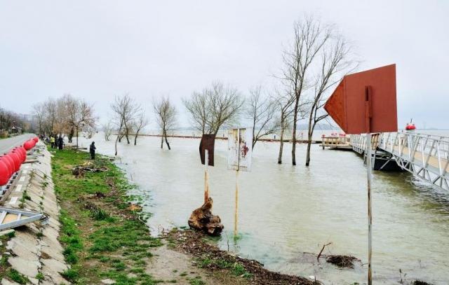 Cod portocaliu de inundaţii pe Dunăre şi în judeţul Satu Mare, pe râul Crasna, până marţi seară 202550