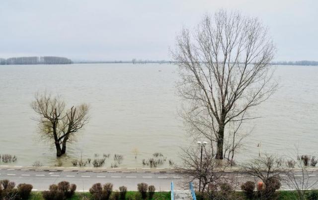 Cod portocaliu de inundaţii pe Dunăre şi în judeţul Satu Mare, pe râul Crasna, până marţi seară 202552