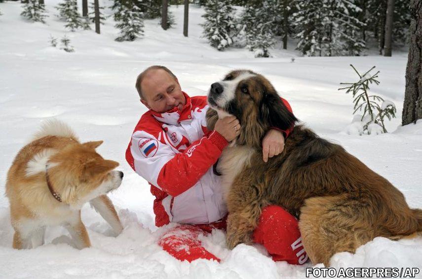 Vladimir Putin, doborât de doi câini fioroşi. Vezi ce a păţit liderul rus în timpul unei şedinţe foto 203249