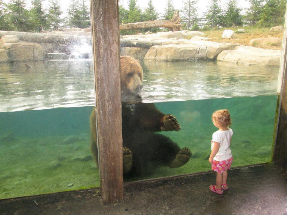 O imagine care îţi va da fiori. Întâlnirea impresionată dintre un copil şi un urs uriaş 203879