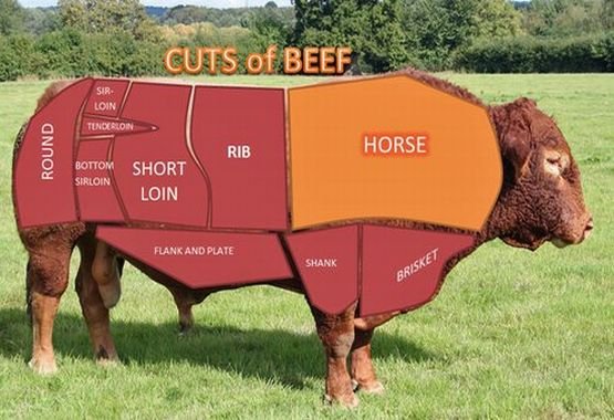UE: Carnea de cal, depistată în proporţie de 5% în produsele etichetate drept vită