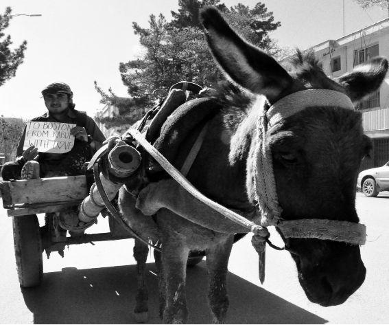 Pentru Boston, din Kabul, cu dragoste. "Nevinovaţii suferă întotdeauna cel mai mult" 204216