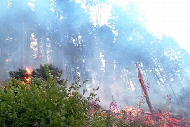 Incendiu puternic într-o localitate dâmboviţeană: Flăcările depăşeau câţiva metri în înălţime